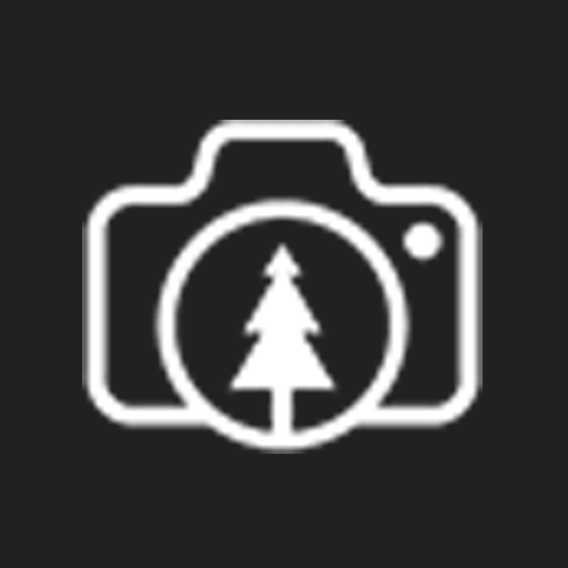 Free Nature Stock